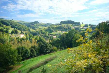 Les arêtes et le Replan Les arêtes et le Replan