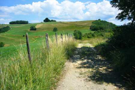 Le Montolivet Le Montolivet