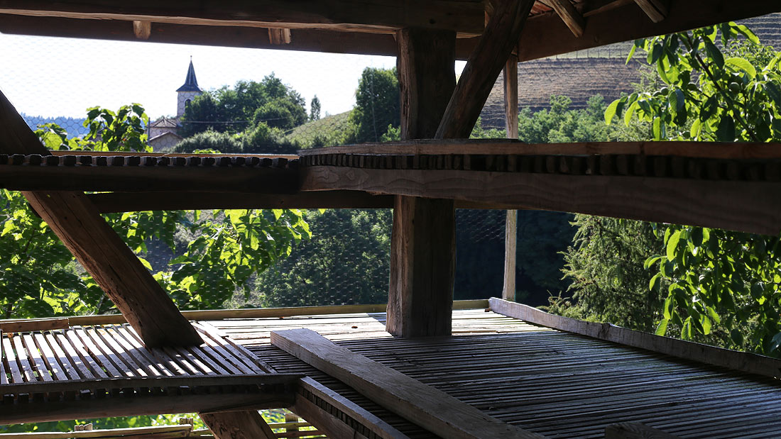 Le séchoir à noix « La Grange ». Vue du 1er niveau avec ses 2 étages de claies.