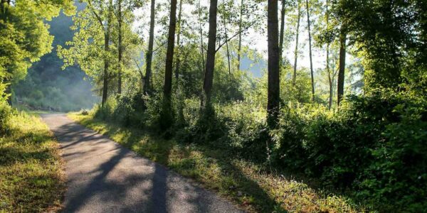 Chemin des Envers