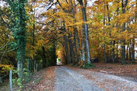 Chemin de Brosse-Ronde