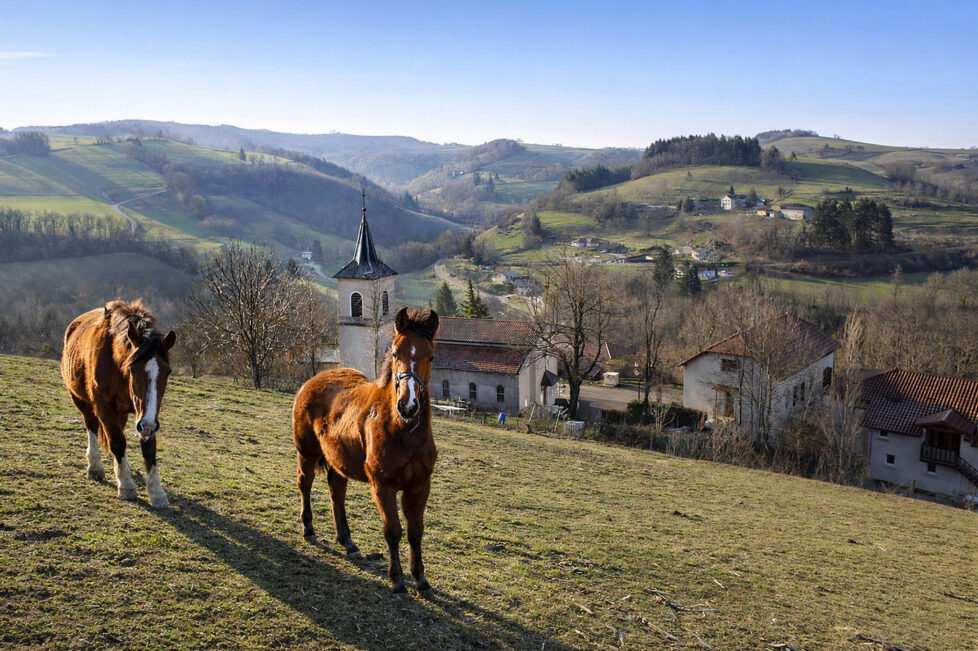 chevaux-header chevaux-header