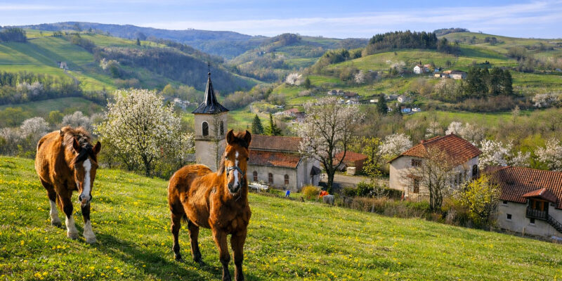 chevaux-printemps26